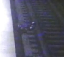 Watch: Woman In Taipei Falls On Subway Track, Rescued