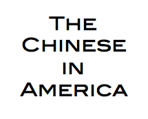 In Uhmerica, 911 Operator Fuck-Up Costs Chinese Woman Her Life