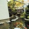 Inside Hong Kong Tycoon Cecil Chao’s Luxury Mansion, Which He’ll Give To The Man Who Marries His Lesbian Daughter
