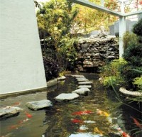 Inside Hong Kong Tycoon Cecil Chao’s Luxury Mansion, Which He’ll Give To The Man Who Marries His Lesbian Daughter