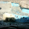 This Sad Polar Bear In Beijing Again Highlights The Paltry Condition Of China’s Zoos