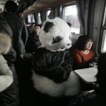Panda on train