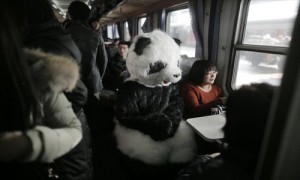 Panda on train