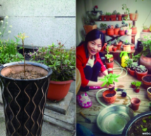 Environmentally Conscious Chinese Rally For Arbor Day
