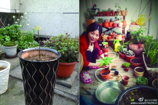 Arbor Day in China