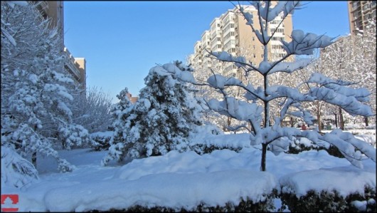 Beijing snow