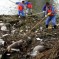 “Pigfestation” Is What We’re Now Calling It, Because Nearly 6,000 Dead Pigs