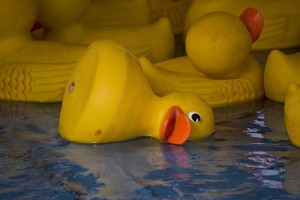 Dead rubber duck