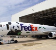 Giant Pandas Er Shun And Da Mao Are Being Flown From Chengdu To Canada Today Via FedEx