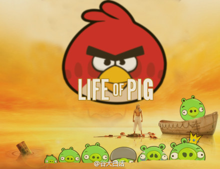 Life of Pig