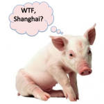 Pig asks WTF