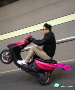 Wheely on pink scooter 1