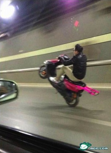 Wheely on pink scooter 3
