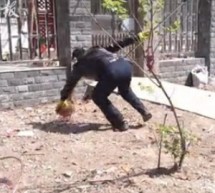 We Found A Use For Chengguan: Chasing Chickens [UPDATE]