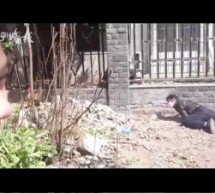 That Video Of Chengguan Chasing A Chicken Has Been Set To The Benny Hill Theme