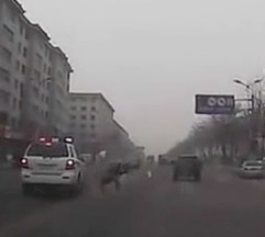 Cop police hit and run accident in Liaoning featured image