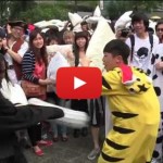 International Pillow Fight Day In Hong Kong Looked Fun Enough