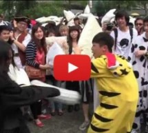 International Pillow Fight Day In Hong Kong Looked Fun Enough