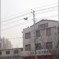 Onlookers Watch In Horror As Drunk Man Scales Electricity Pole, Dangles From Wires… And Falls