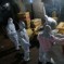 Bird flu roundup: 6 dead, Shanghai poultry market closes, large chicken cull, plus first reported case in Hong Kong