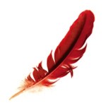 Red feather H7N9 bird flu
