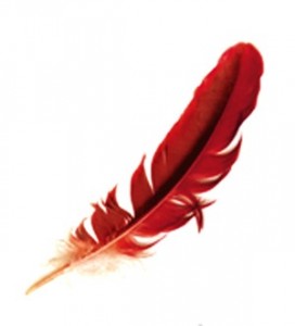 Red feather H7N9 bird flu