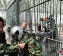 Taiyuan Zookeepers Dress Up As Animals To Conduct Wacky, Furry Drill