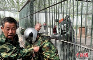 Taiyuan Zoo training 1