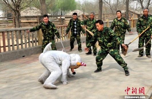 Taiyuan Zoo training and such