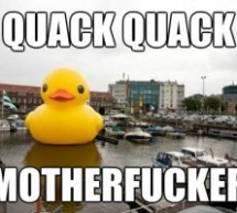 Meme Thursday: Quack Quack, Motherfucker