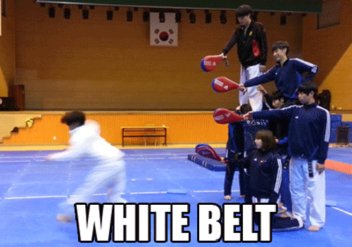56 white-belt-to-black-belt-in-one-gif