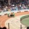 All Sorts Of Awful: Black Bear Mauls Monkey After Bikes Collide At Shanghai Wild Animal Park [UPDATE]