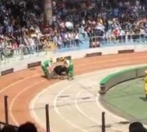 All Sorts Of Awful: Black Bear Mauls Monkey After Bikes Collide At Shanghai Wild Animal Park [UPDATE]