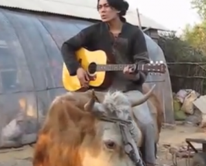 Chinese man riding cow delivers perfect rendition of Bieber's Baby