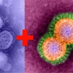 China Creating Super Viruses, Just ‘Cause