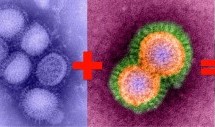 China Creating Super Viruses, Just ‘Cause