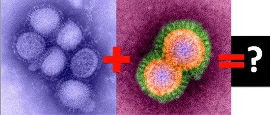 Chinese super virus H1N1 H5N1