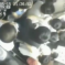 Video Of Woman Cut In Half By Elevator Is Harrowing