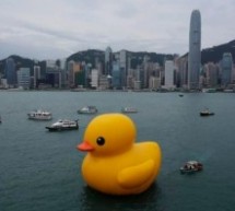 FUCK YES RUBBER DUCK