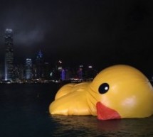 RUBBER DUCK DOWN