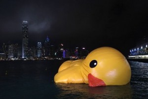 Rubber duck sinks