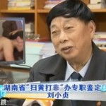Senior Chinese Pornography Censor Watches A Lot Of Porn, Hates It
