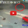 Traffic Light: The Crosswalk Is A Novel Thing