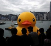 Mid-Week Links: Playboy loves Ai Weiwei, bad Samaritans leave cyclist to die, and Hong Kong’s rubber duck is back