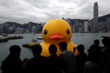 Yellow duck revived