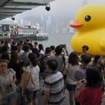 Duck leaves Victoria Harbor Hong Kong