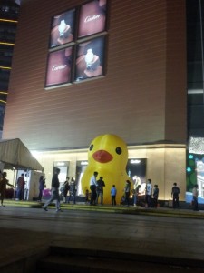 Rubber duck in Jiangsu province