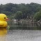 Wuhan Has Its Own Giant Rubber Duck, But Smaller
