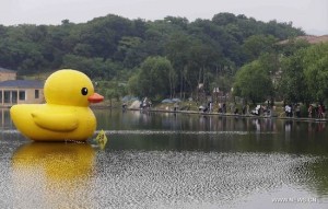 Rubber duck in Wuhan