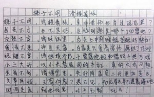 Gaokao essay scores 0 points